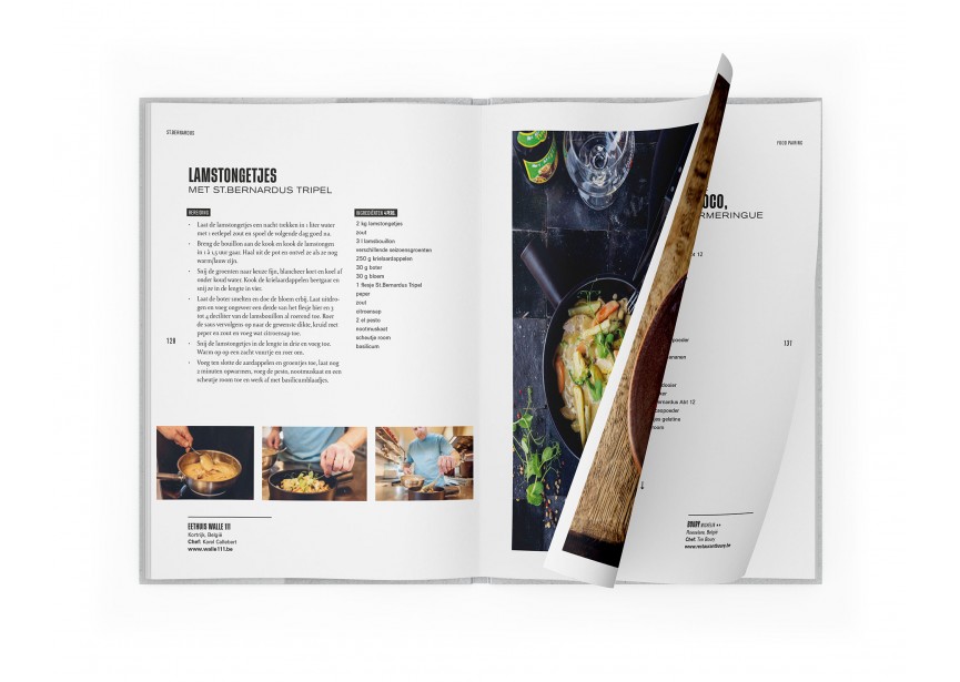 SB_Book_Mockup_NL-2_LR